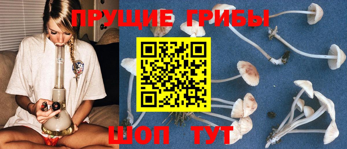 Когалым  Псилоцибиновые грибы мицелий  Галлюциногенные грибы MAGIC MUSHROOMS  Вход с VPN 